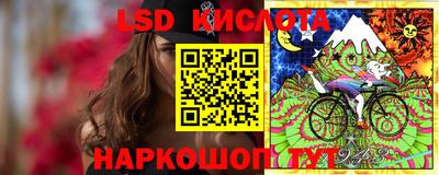 сатива Можга