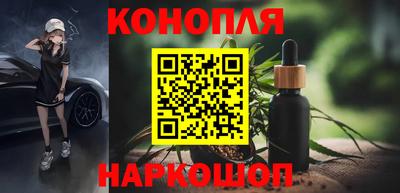 сатива Можга
