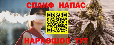 сатива Можга